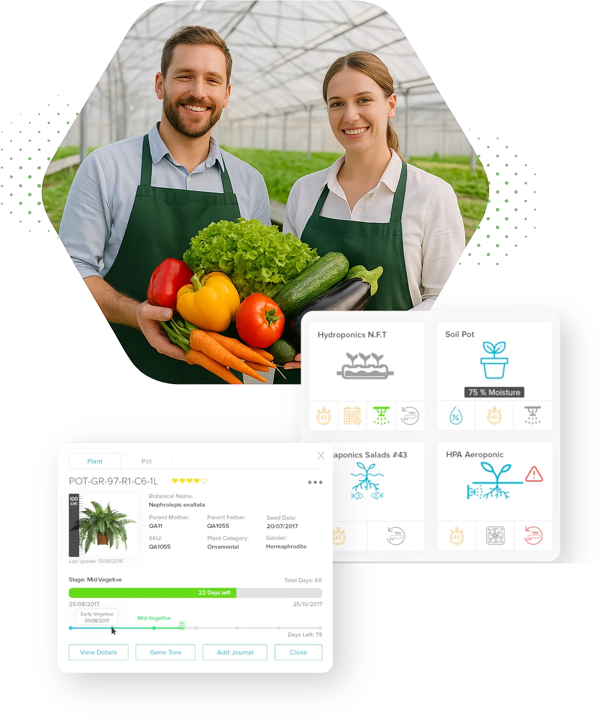 Smart irrigation controller automating water flow in indoor farm