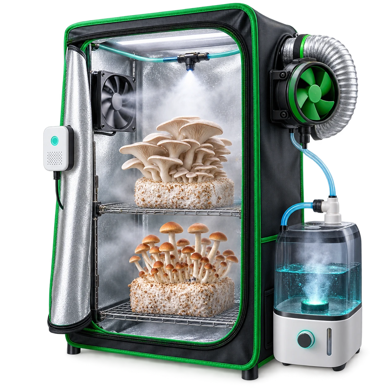 Mushroom grow setups